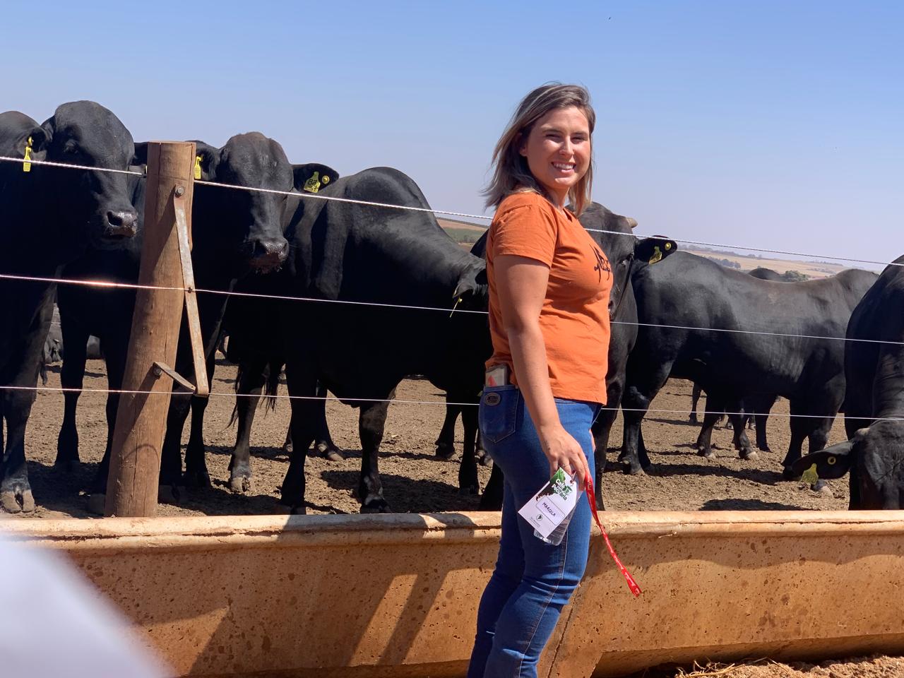 Imagem da galeria distribuidora