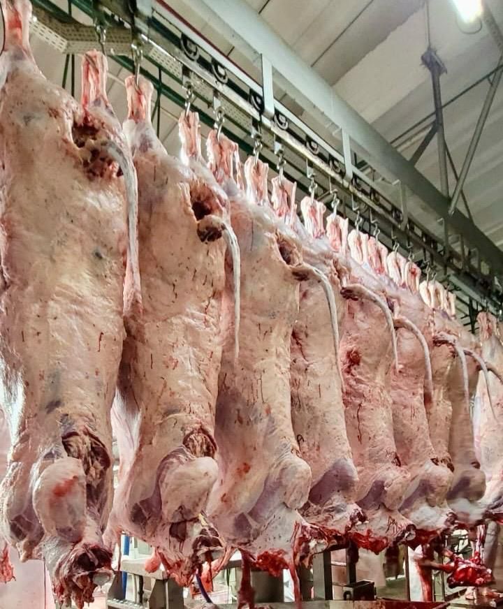 Imagem da galeria distribuidora