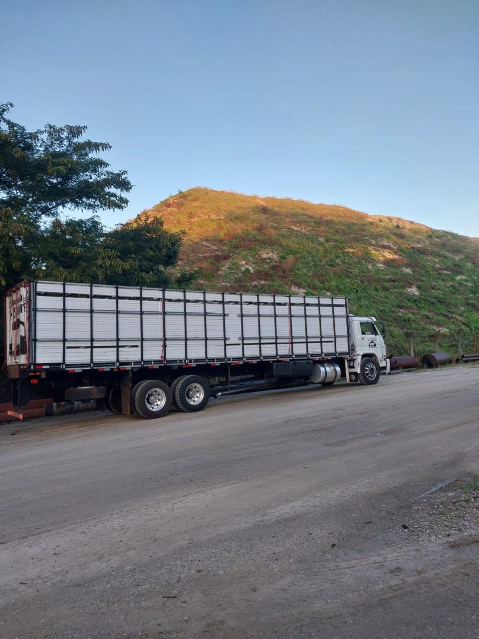 Imagem da galeria distribuidora