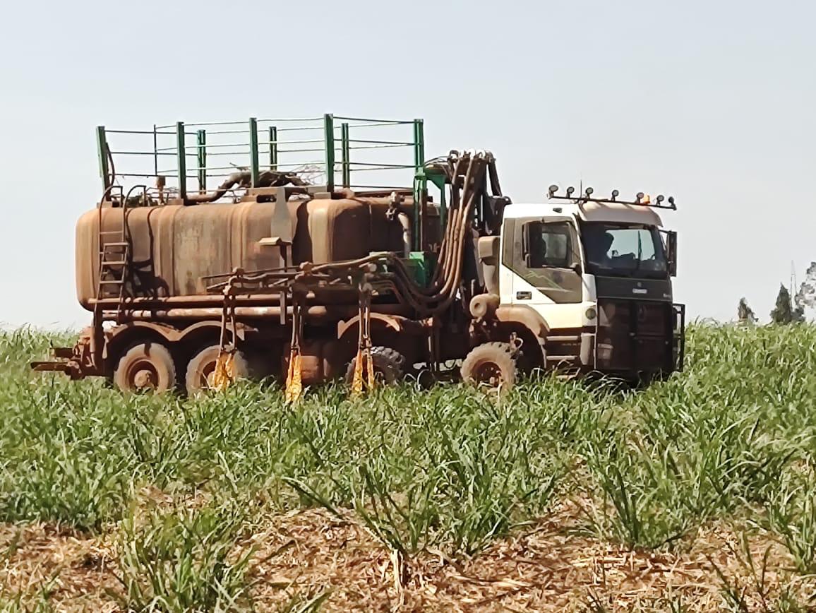 Imagem da galeria distribuidora