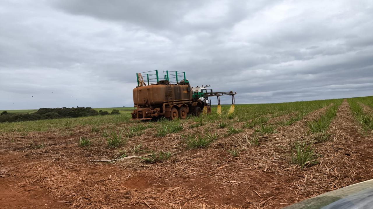 Imagem da galeria distribuidora